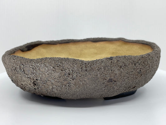 Magma Bonsai Pot 6.25"