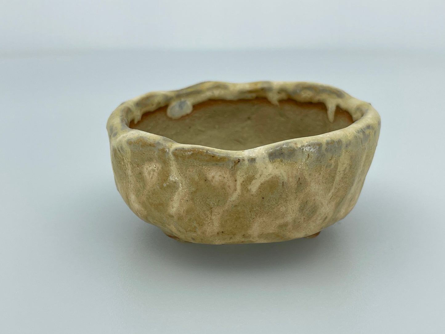 2.6" Wide Macadamia Accent Pot